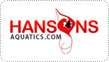 hansons